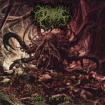 Divinite Hive - Xalaxial