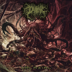 Divinite Hive - Xalaxial