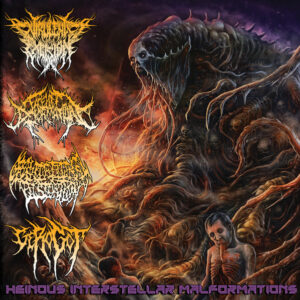 Heinous Interstellar Malformations - 4 Way Split